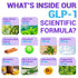 GLP1 Support Supplement Chromium, Green Tea Extract, Synbiotics, Licorice Root Supplement, 1300 mg Gentle Formula, 1 Month Supply Wellness